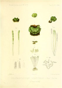 n148_w1150