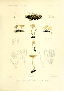 n118_w1150