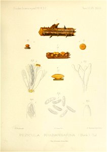n296_w1150