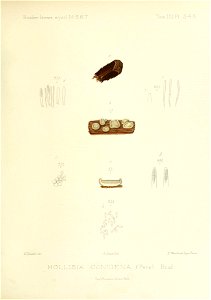 n266_w1150