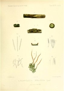 n206_w1150