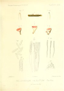 n176_w1150