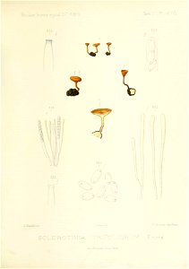 n116_w1150