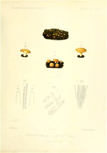 n56_w1150
