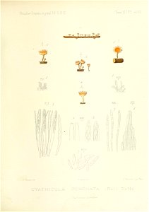 n174_w1150