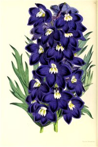 n139_w1150
