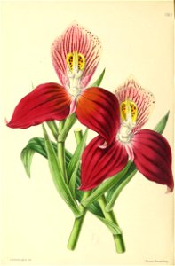 n129_w1150