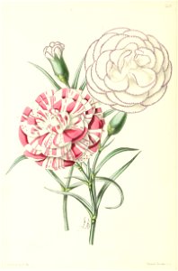 n45_w1150
