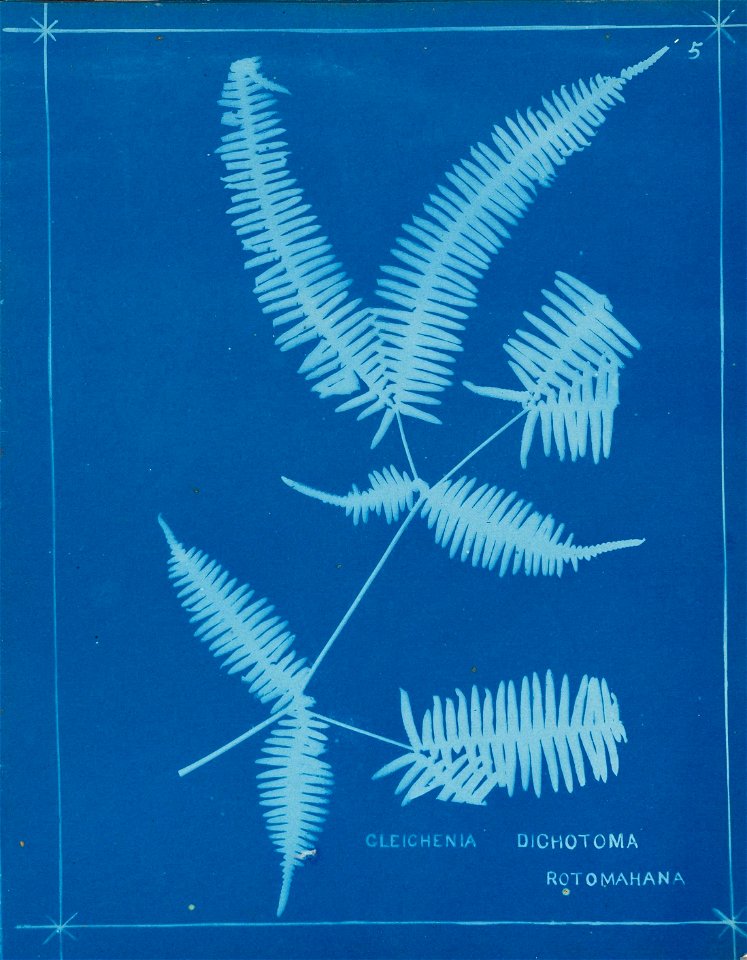 n10_w1150