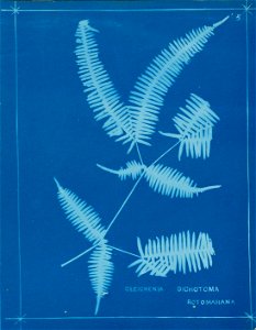 n10_w1150
