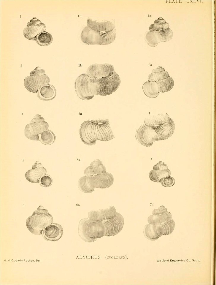 n359_w1150
