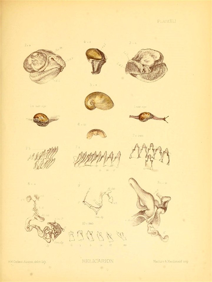 n168_w1150