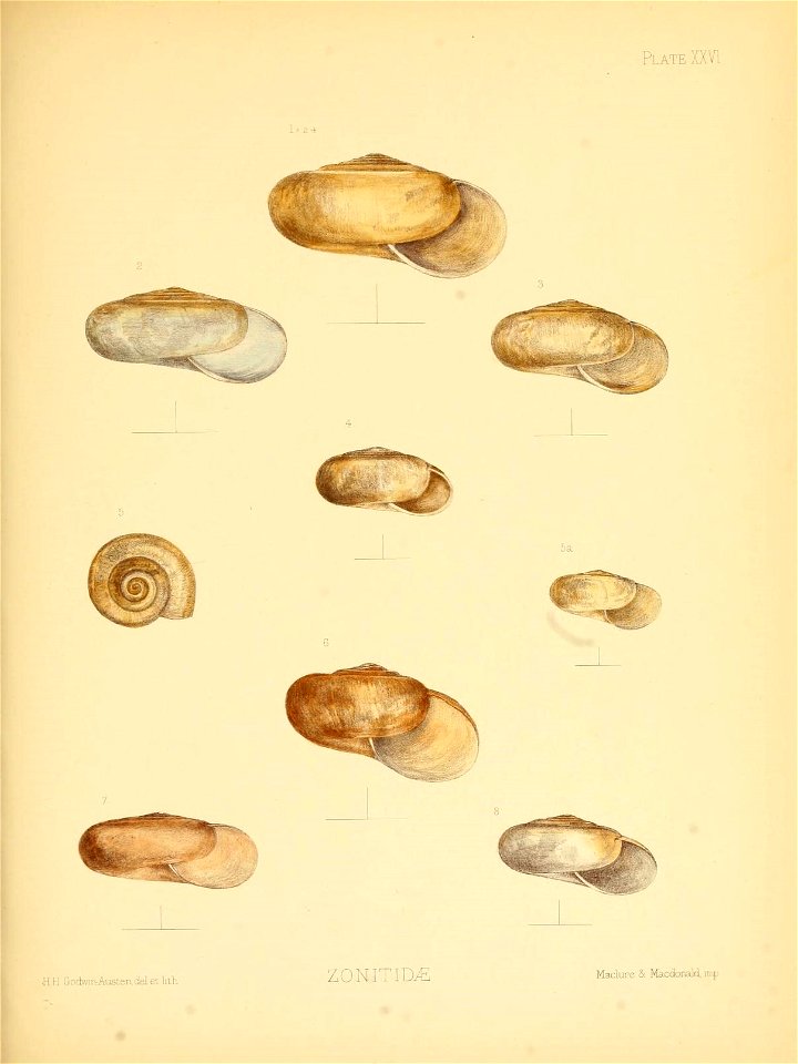 n108_w1150