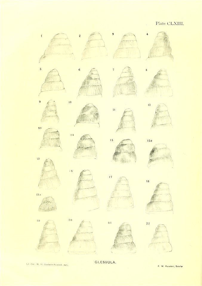 n21_w1150