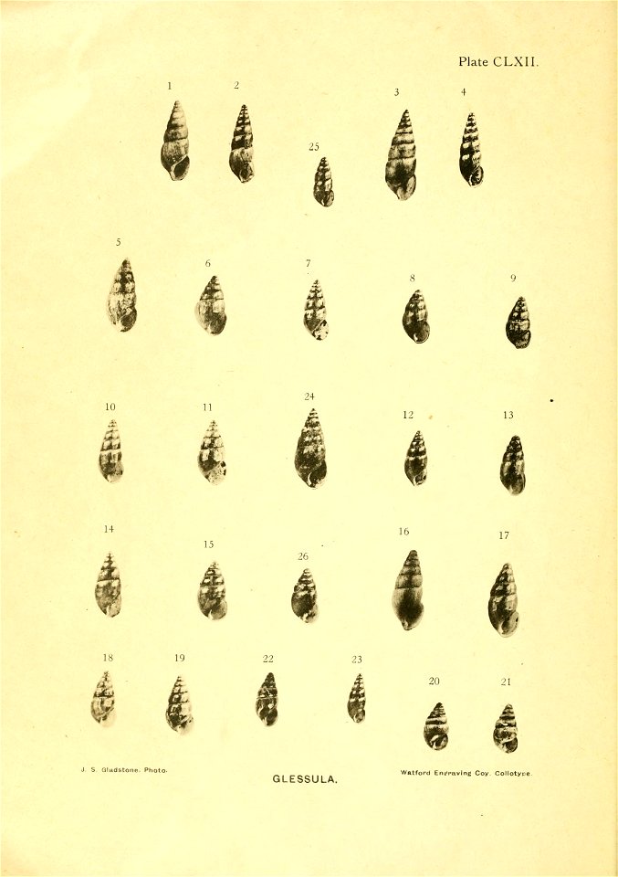 n17_w1150