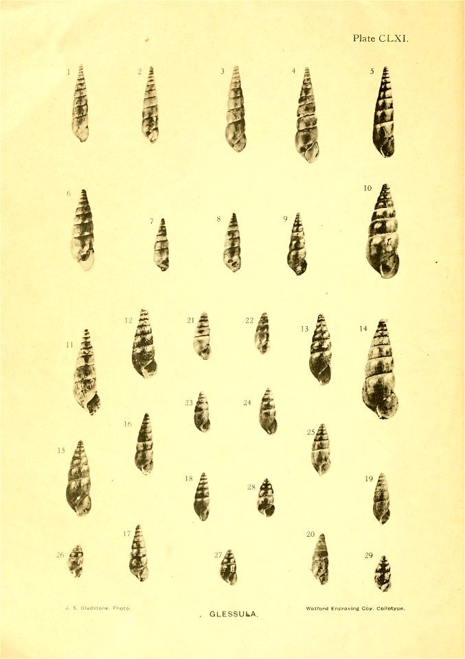 n13_w1150