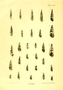 n13_w1150