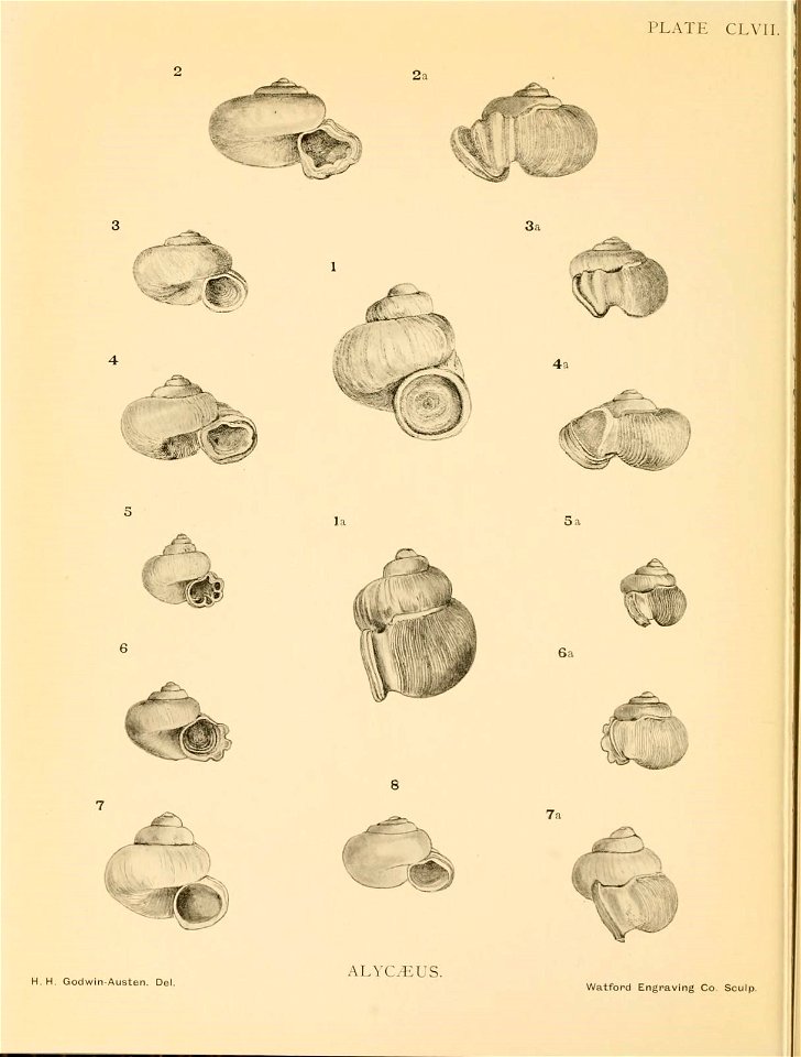 n401_w1150