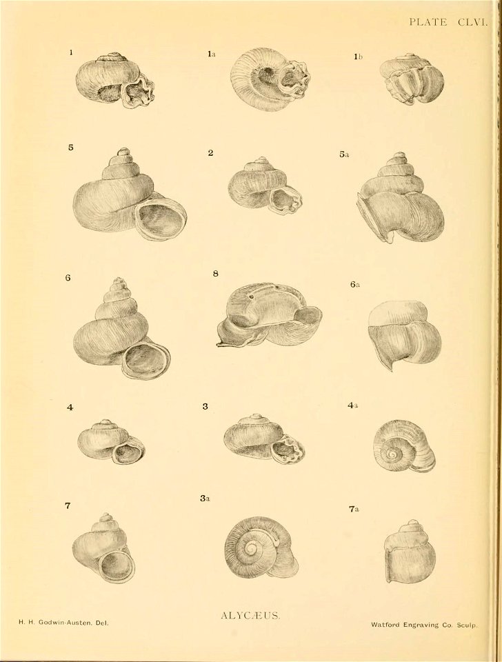 n397_w1150