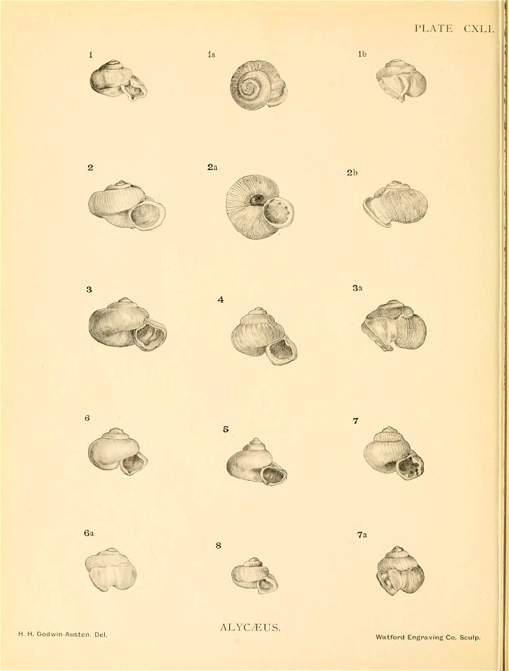 n339_w1150