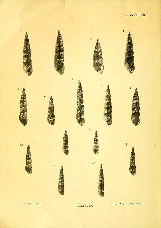 n5_w1150