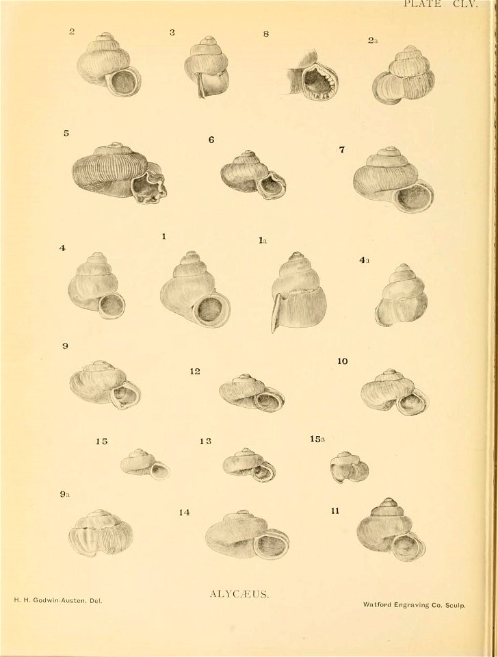 n393_w1150