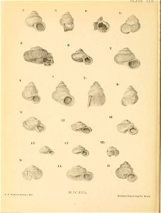 n393_w1150