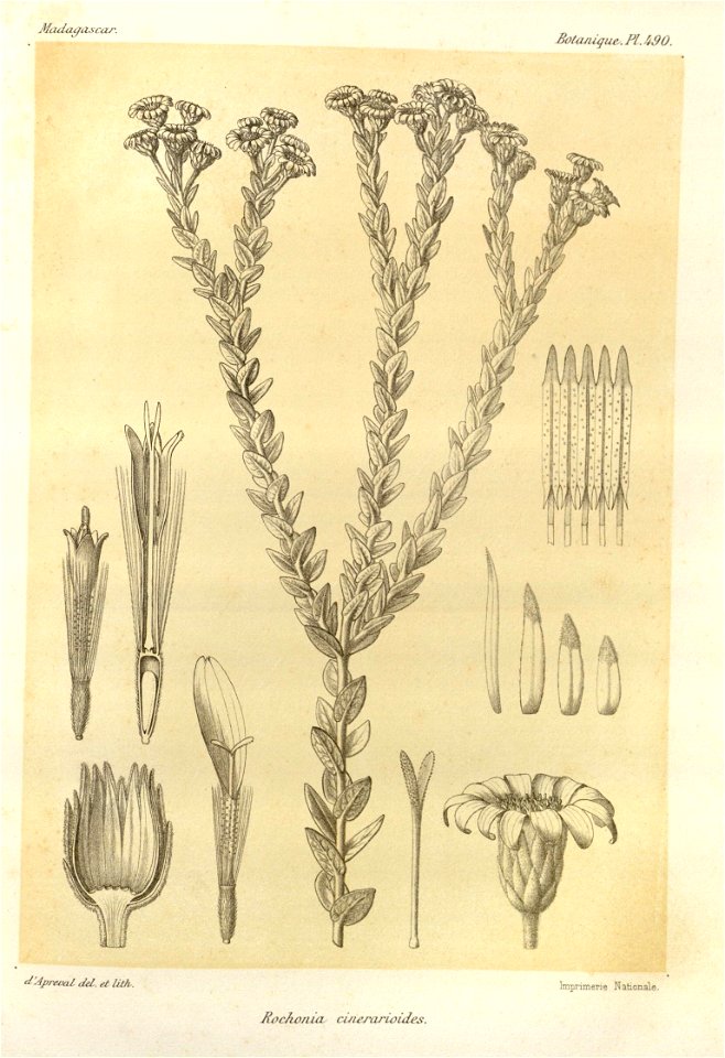 n105_w1150