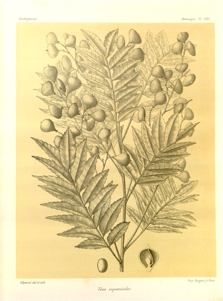 n122_w1150