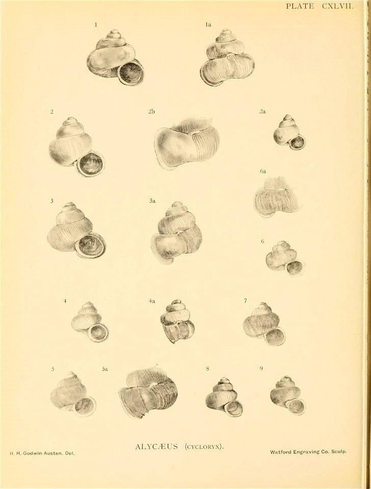 n361_w1150