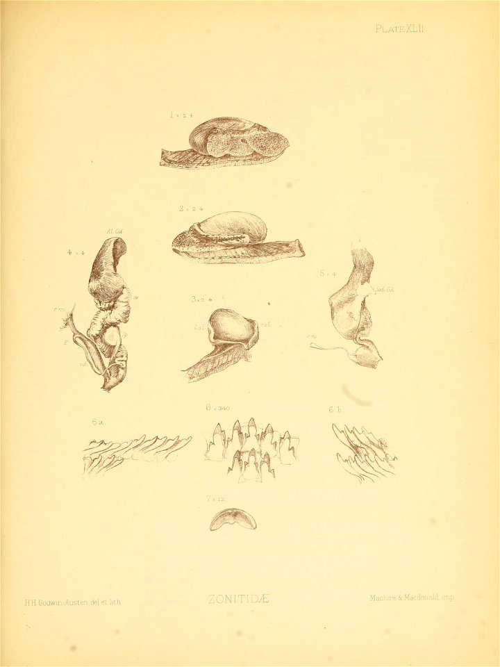 n172_w1150