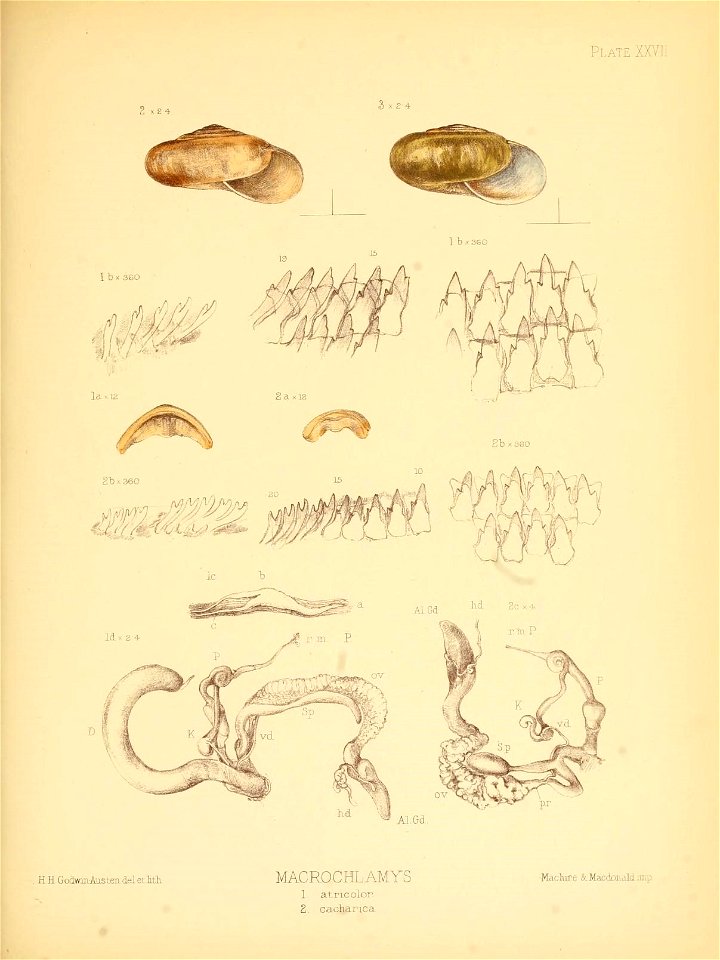 n112_w1150