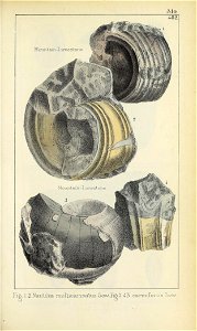 n684_w1150