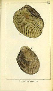 n560_w1150