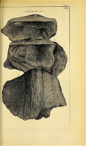 n492_w1150