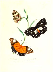 n180_w1150