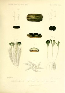 n304_w1150