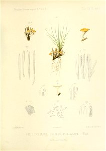 n154_w1150