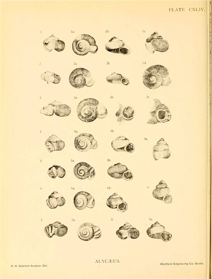 n351_w1150
