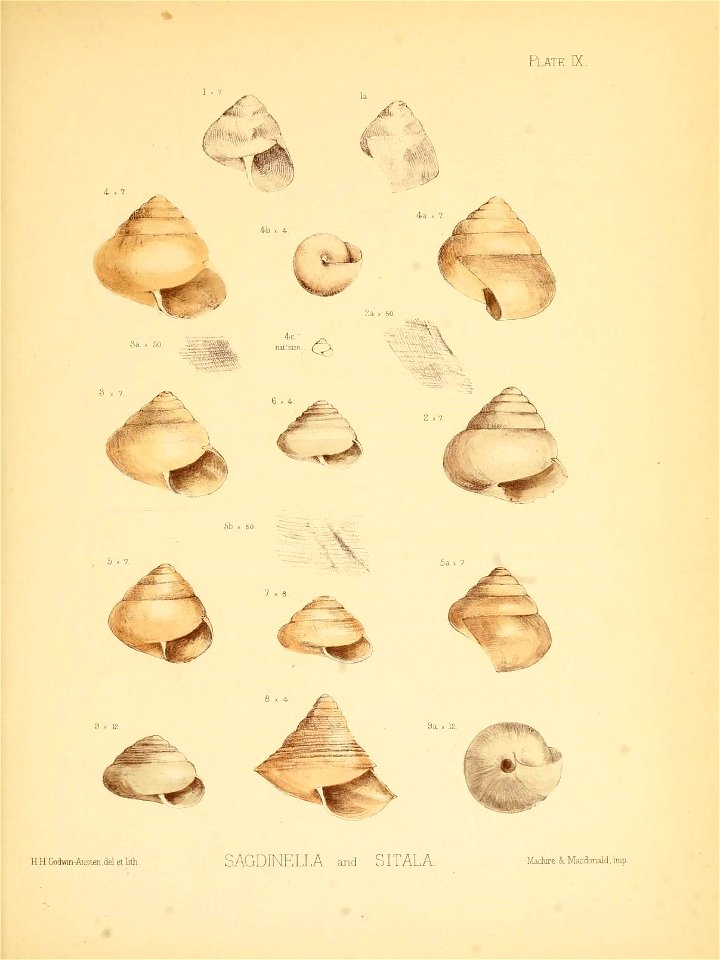 n40_w1150