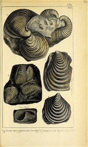 n834_w1150