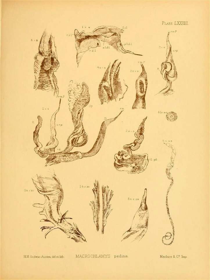 n108_w1150