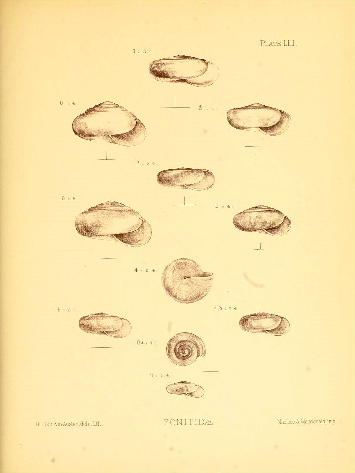 n216_w1150