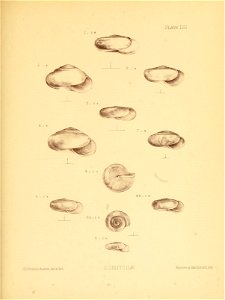 n216_w1150