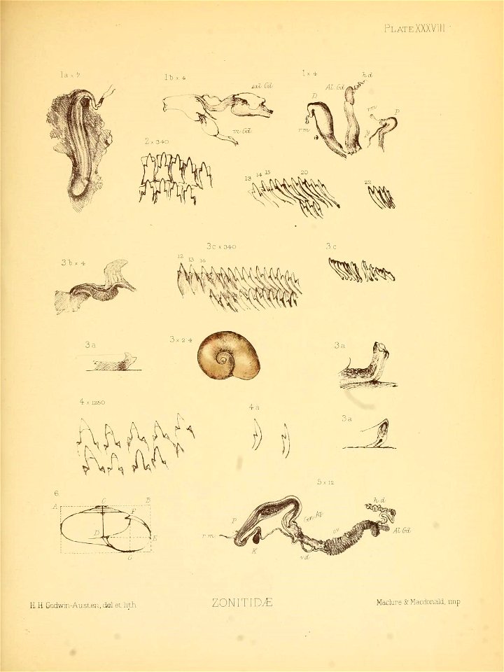 n156_w1150