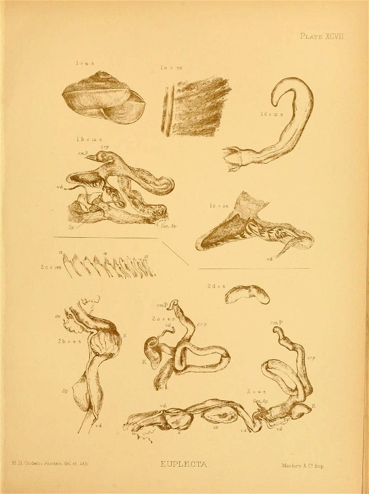n164_w1150