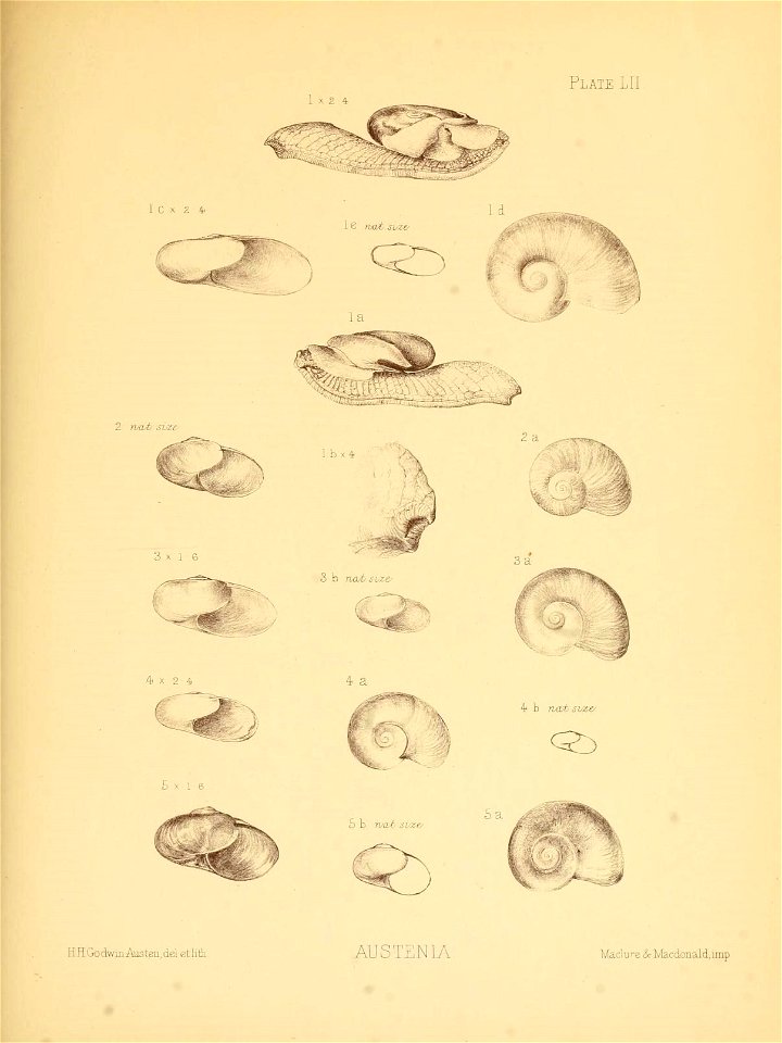 n212_w1150