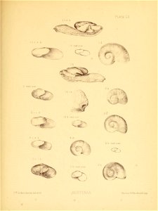 n212_w1150