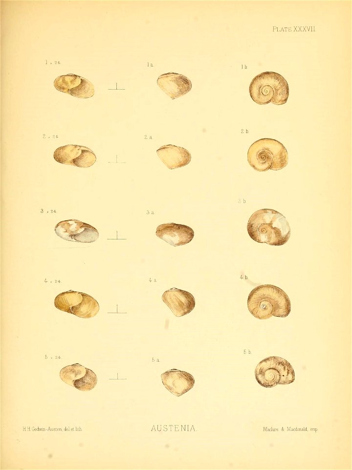 n152_w1150