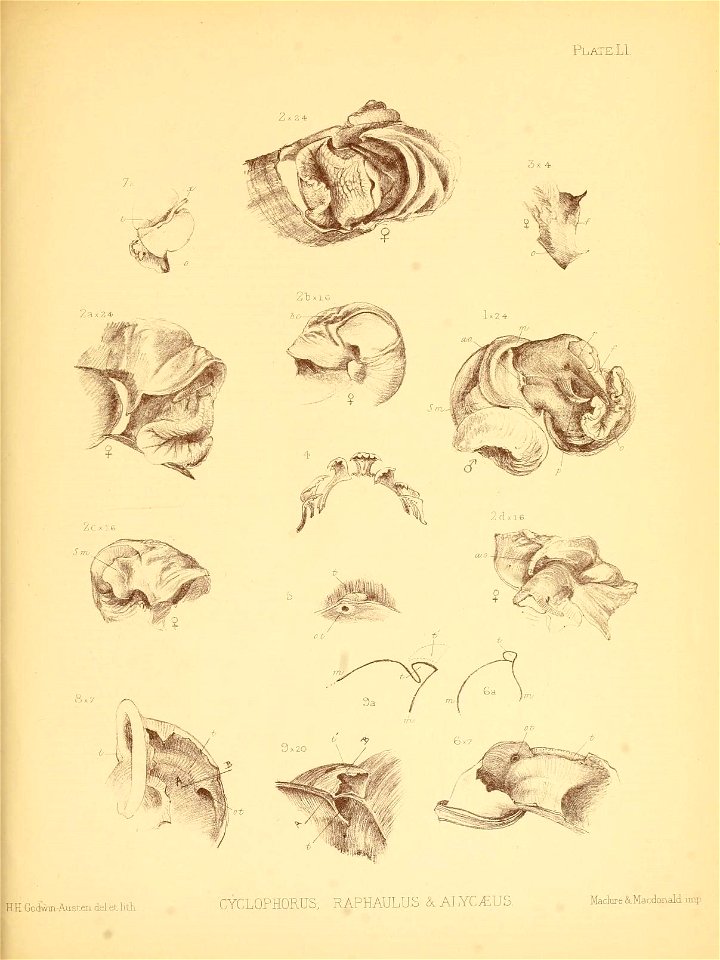 n208_w1150
